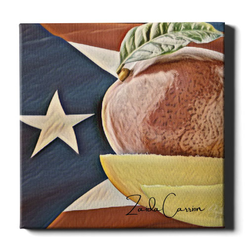 Cuadro de Mango - Canvas Frutas de Puerto Rico