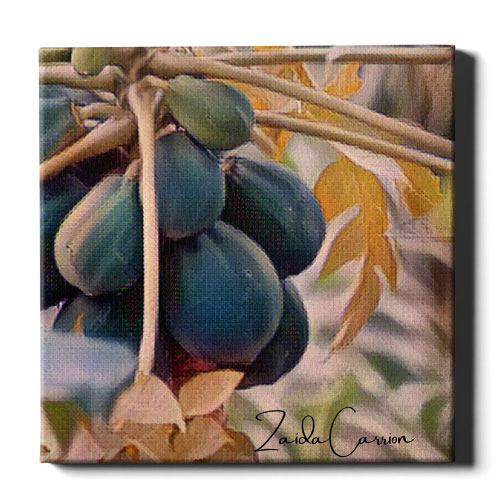 Cuadro de Papaya - Canvas Frutas de Puerto Rico